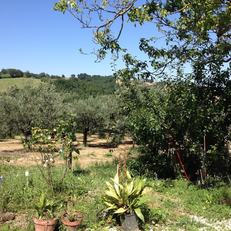 チヴィテッラ・カザノーヴァ Masseria Spadoneヴィラ エクステリア 写真